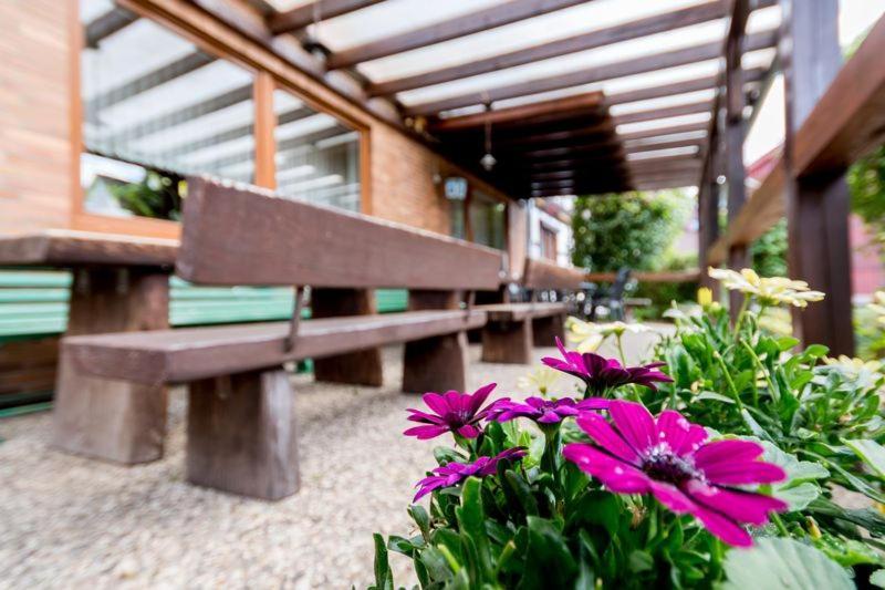 Gasthaus Dernedde Osterode am Harz Ngoại thất bức ảnh